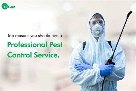 commercial pest control thunderbolt